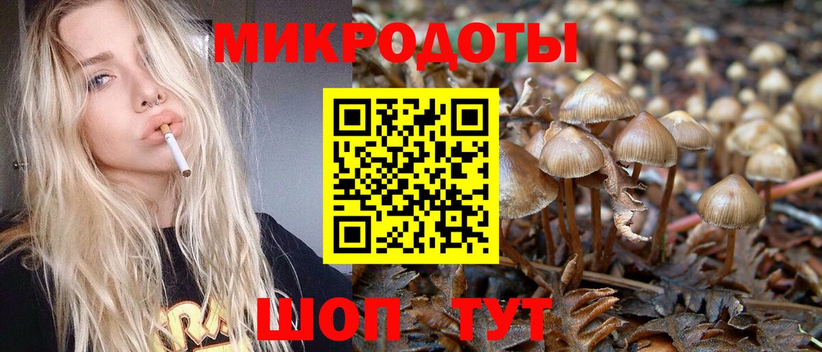 Псилоцибиновые грибы ЛСД Реутов