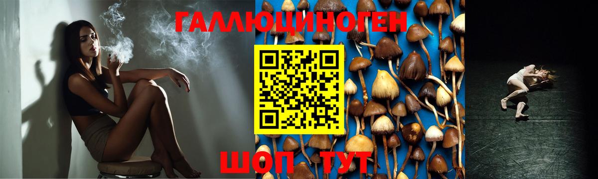 Псилоцибиновые грибы ЛСД  Вход с VPN  Реутов 